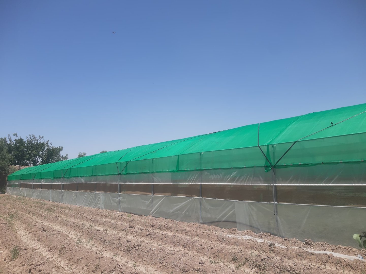 Internal crop growth environment inside greenhouse
